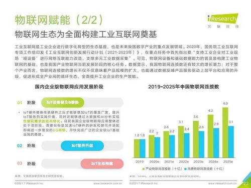 2021年中國(guó)企業(yè)服務(wù)研究報(bào)告 社會(huì)經(jīng)濟(jì)咨詢服務(wù)的現(xiàn)狀與前景